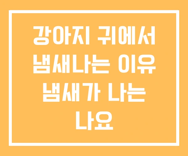 강아지 귀에서 냄새나는 이유 냄새가 나는 나요 강아지 귀에서 냄새나는 이유 냄새가 나는 나요