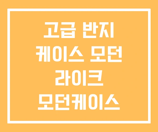 고급 반지 케이스 모던 라이크 모던케이스 고급 반지 케이스 모던 라이크 모던케이스