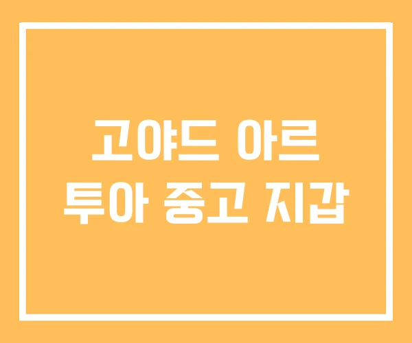 고야드 아르 투아 중고 지갑