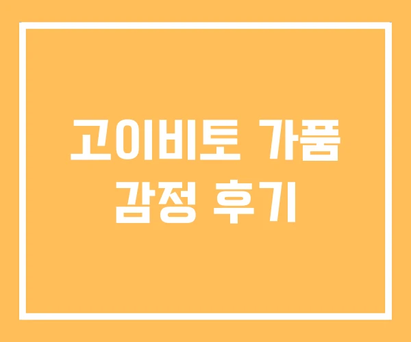 고이비토 가품 감정 후기 고이비토 가품 감정 후기
