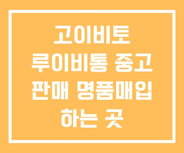 고이비토 루이비통 중고 판매 명품매입 하는 곳