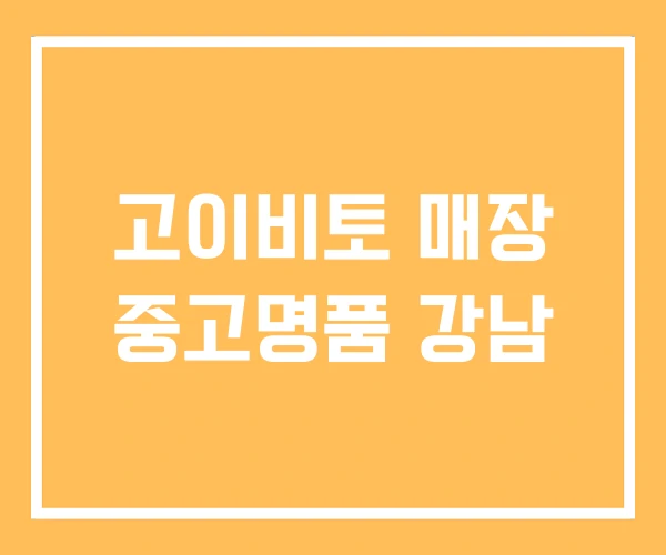 고이비토 매장 중고명품 강남 고이비토 매장 중고명품 강남