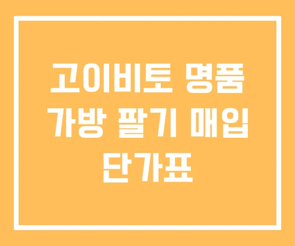 고이비토 명품 가방 팔기 매입 단가표