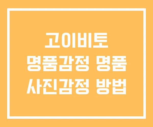 고이비토 명품감정 명품 사진감정 방법 고이비토 명품감정 명품 사진감정 방법