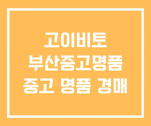 고이비토 부산중고명품 중고 명품 경매 고이비토 부산중고명품 중고 명품 경매