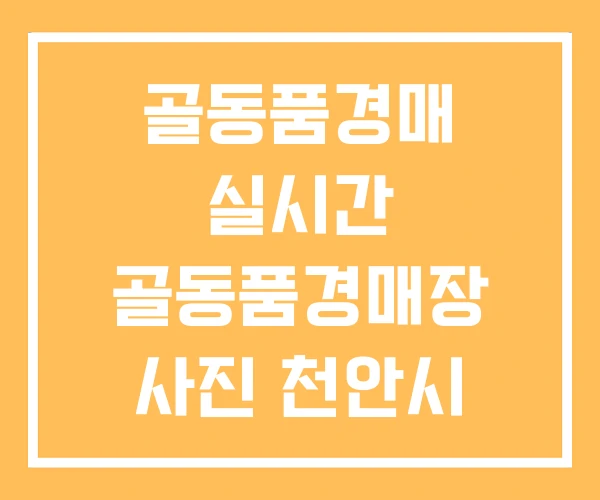 골동품경매 실시간 골동품경매장 사진 천안시