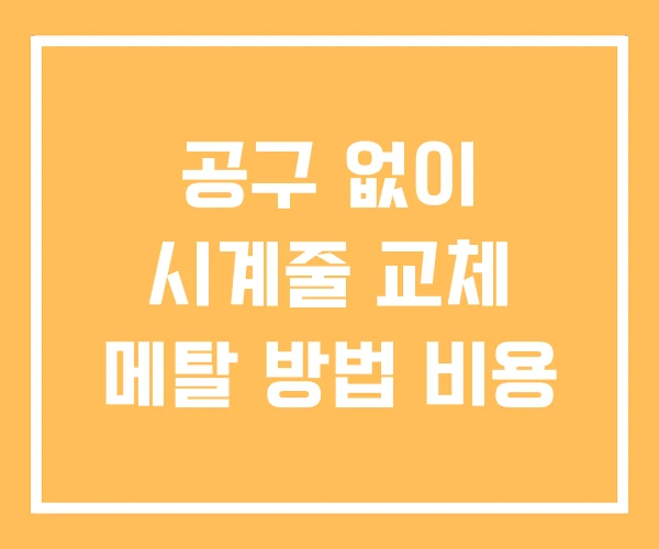 공구 없이 시계줄 교체 메탈 방법 비용 공구 없이 시계줄 교체 메탈 방법 비용