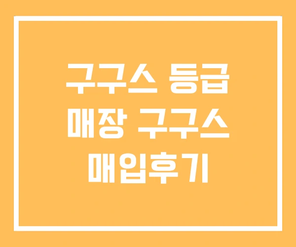 구구스 등급 매장 구구스 매입후기 구구스 등급 매장 구구스 매입후기