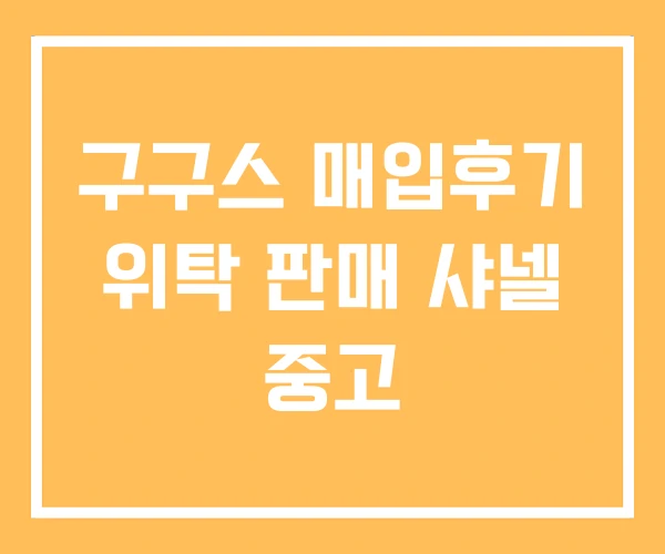 구구스 매입후기 위탁 판매 샤넬 중고 구구스 매입후기 위탁 판매 샤넬 중고