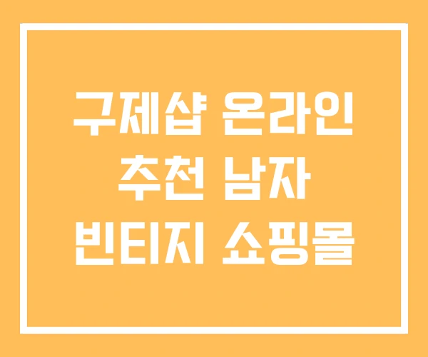 구제샵 온라인 추천 남자 빈티지 쇼핑몰 구제샵 온라인 추천 남자 빈티지 쇼핑몰