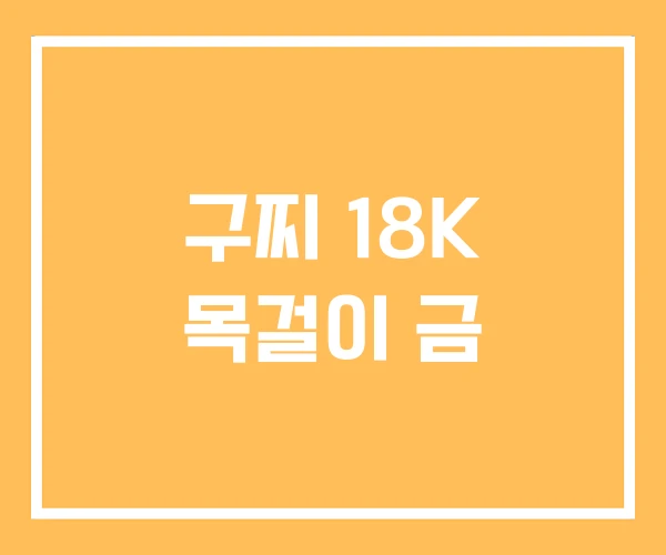 구찌 18K 목걸이 금 구찌 18K 목걸이 금
