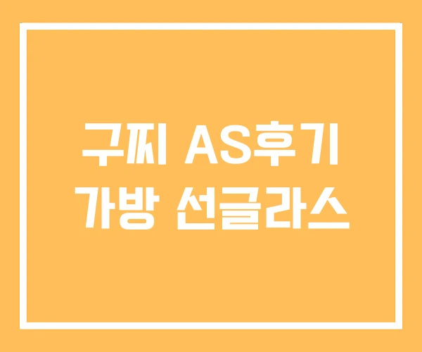구찌 AS후기 가방 선글라스