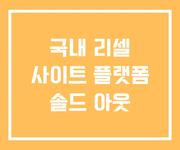 국내 리셀 사이트 플랫폼 솔드 아웃 국내 리셀 사이트 플랫폼 솔드 아웃