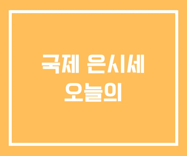 국제 은시세 오늘의 국제 은시세 오늘의