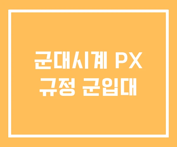 군대시계 PX 규정 군입대