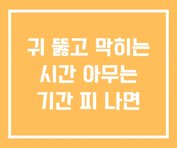 귀 뚫고 막히는 시간 아무는 기간 피 나면