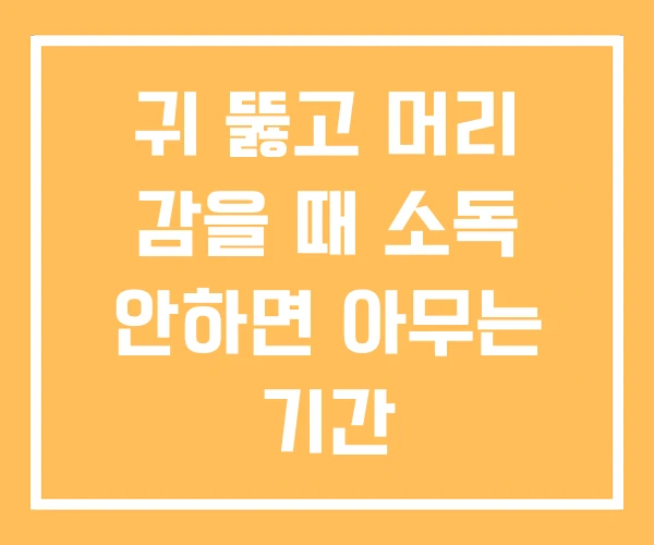 귀 뚫고 머리 감을 때 소독 안하면 아무는 기간 귀 뚫고 머리 감을 때 소독 안하면 아무는 기간