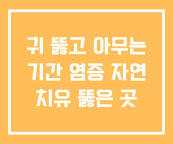 귀 뚫고 아무는 기간 염증 자연 치유 뚫은 곳