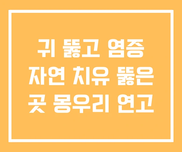 귀 뚫고 염증 자연 치유 뚫은 곳 몽우리 연고 귀 뚫고 염증 자연 치유 뚫은 곳 몽우리 연고