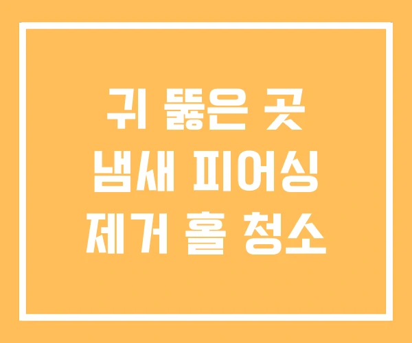 귀 뚫은 곳 냄새 피어싱 제거 홀 청소