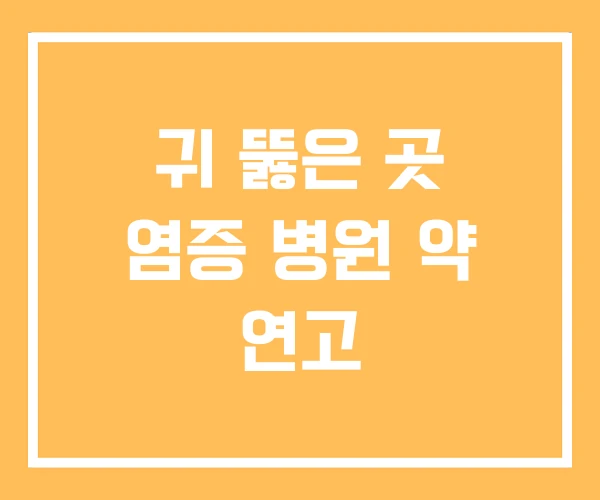 귀 뚫은 곳 염증 병원 약 연고 귀 뚫은 곳 염증 병원 약 연고