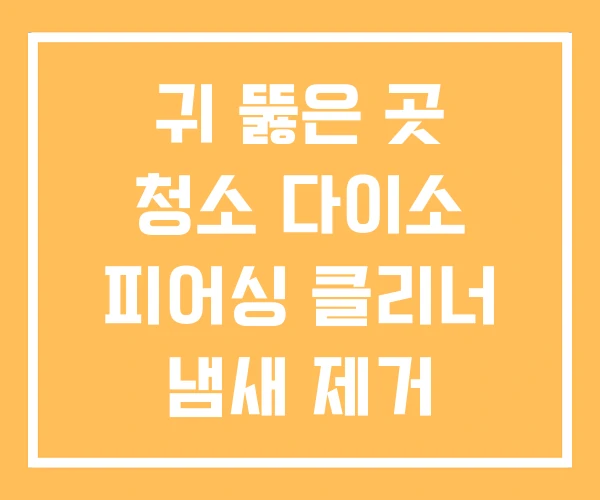 귀 뚫은 곳 청소 다이소 피어싱 클리너 냄새 제거 귀 뚫은 곳 청소 다이소 피어싱 클리너 냄새 제거