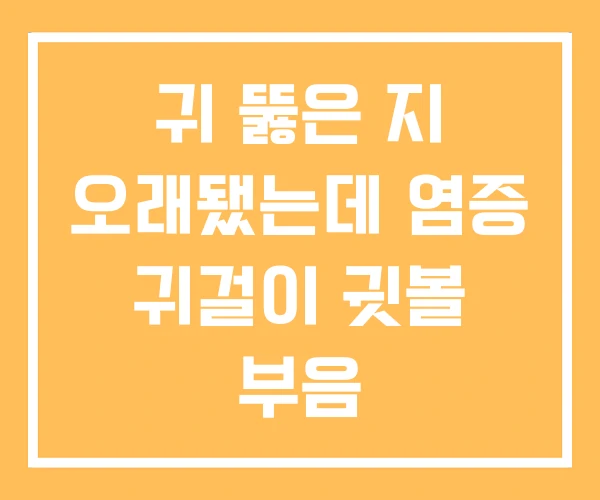 귀 뚫은 지 오래됐는데 염증 귀걸이 귓볼 부음 귀 뚫은 지 오래됐는데 염증 귀걸이 귓볼 부음