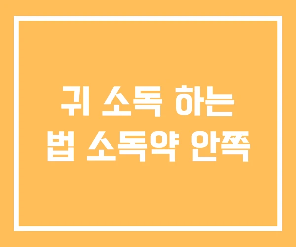 귀 소독 하는 법 소독약 안쪽