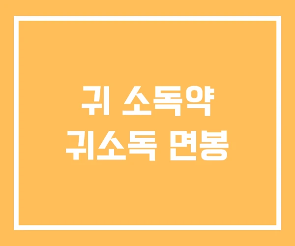 귀 소독약 귀소독 면봉