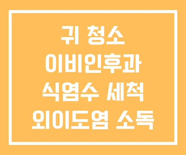 귀 청소 이비인후과 식염수 세척 외이도염 소독