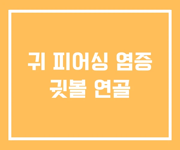 귀 피어싱 염증 귓볼 연골 귀 피어싱 염증 귓볼 연골