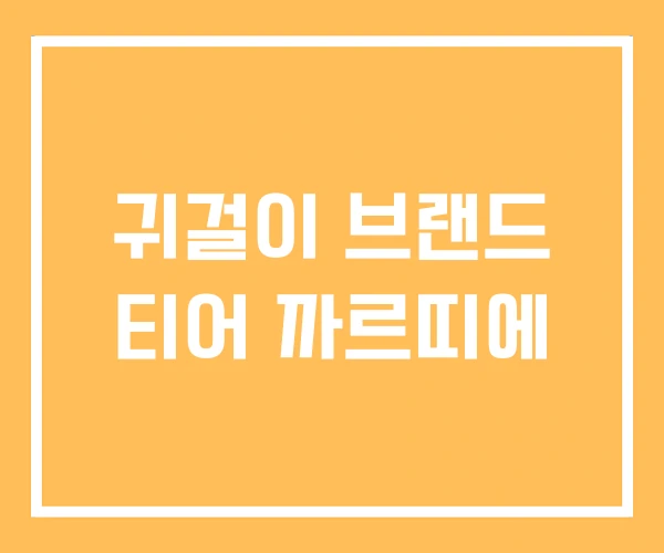 귀걸이 브랜드 티어 까르띠에 귀걸이 브랜드 티어 까르띠에