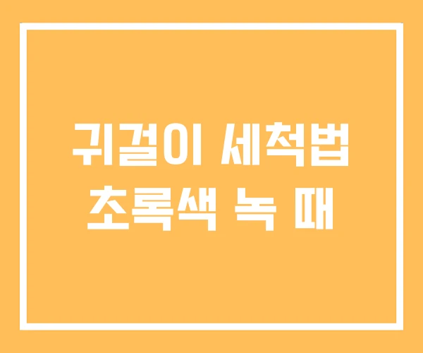 귀걸이 세척법 초록색 녹 때