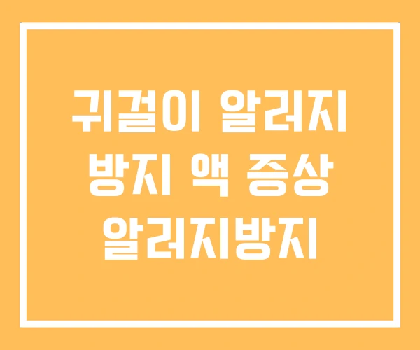 귀걸이 알러지 방지 액 증상 알러지방지 귀걸이 알러지 방지 액 증상 알러지방지