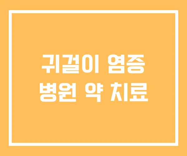 귀걸이 염증 병원 약 치료