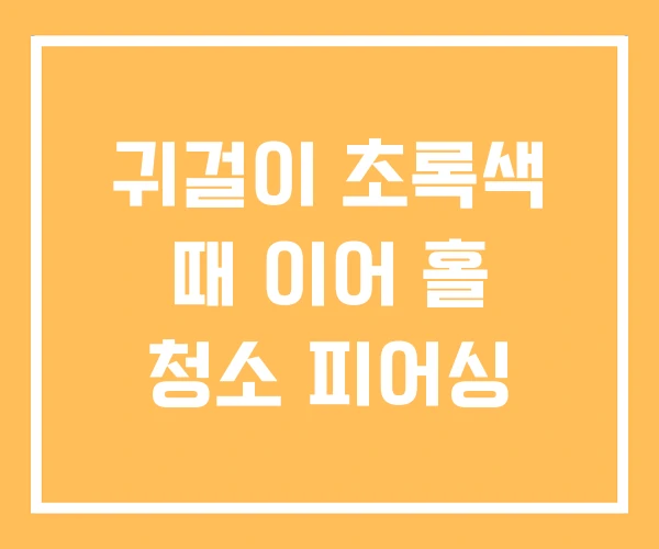 귀걸이 초록색 때 이어 홀 청소 피어싱 귀걸이 초록색 때 이어 홀 청소 피어싱