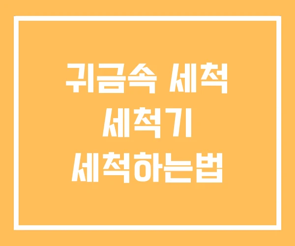 귀금속 세척 세척기 세척하는법 귀금속 세척 세척기 세척하는법