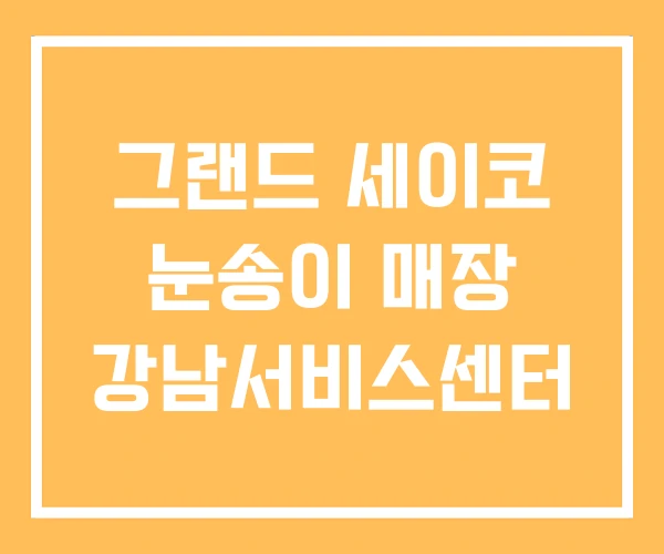 그랜드 세이코 눈송이 매장 강남서비스센터 그랜드 세이코 눈송이 매장 강남서비스센터