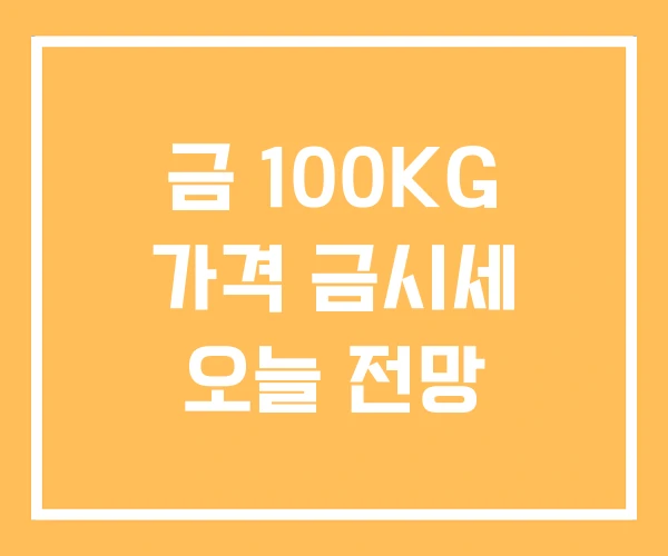 금 100KG 가격 금시세 오늘 전망 금 100KG 가격 금시세 오늘 전망