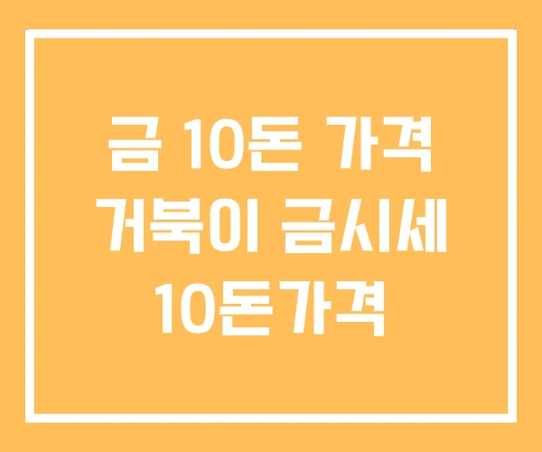 금 10돈 가격 거북이 금시세 10돈가격