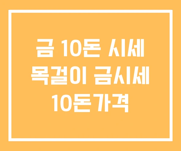 금 10돈 시세 목걸이 금시세 10돈가격 금 10돈 시세 목걸이 금시세 10돈가격