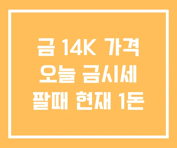 금 14K 가격 오늘 금시세 팔때 현재 1돈