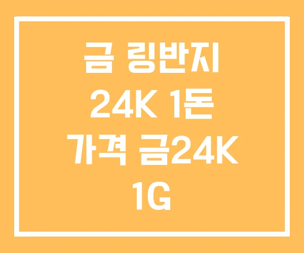 금 링반지 24K 1돈 가격 금24K 1G 금 링반지 24K 1돈 가격 금24K 1G