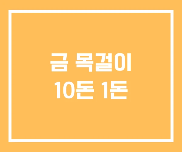 금 목걸이 10돈 1돈