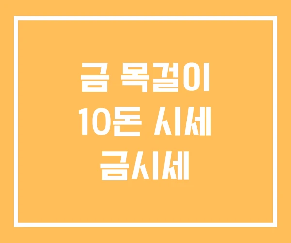 금 목걸이 10돈 시세 금시세