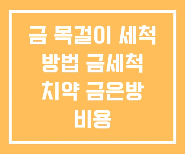 금 목걸이 세척 방법 금세척 치약 금은방 비용