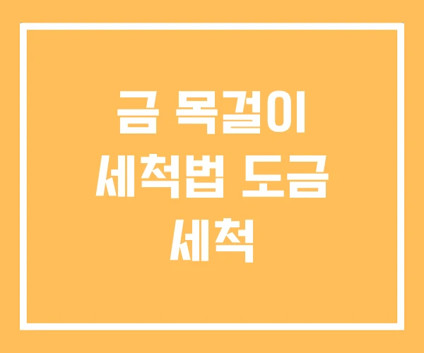 금 목걸이 세척법 도금 세척