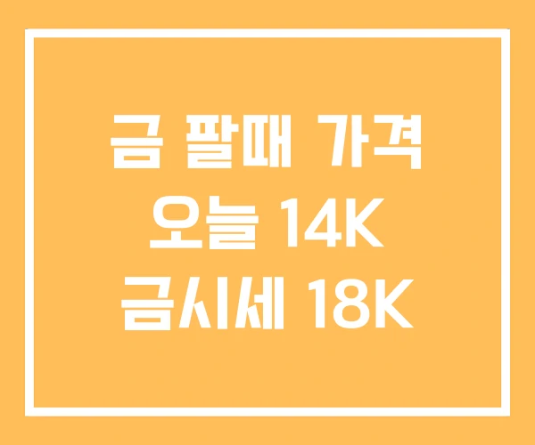 금 팔때 가격 오늘 14K 금시세 18K
