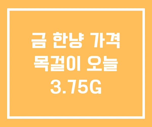 금 한냥 가격 목걸이 오늘 3.75G