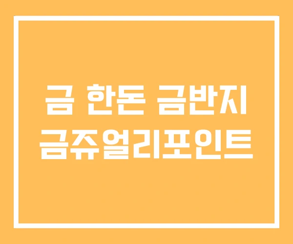 금 한돈 금반지 금쥬얼리포인트 금 한돈 금반지 금쥬얼리포인트